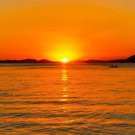 T2 Avec Terrasse & Parking A 5 Min Du Centre, 10 Min Des Plages Hyères Dış mekan fotoğraf