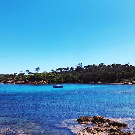T2 Avec Terrasse & Parking A 5 Min Du Centre, 10 Min Des Plages Hyères Dış mekan fotoğraf