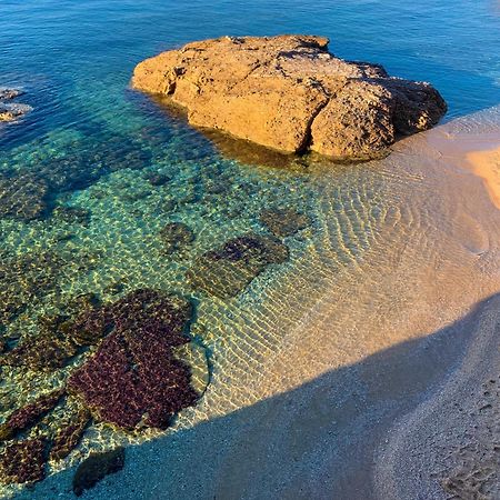 T2 Avec Terrasse & Parking A 5 Min Du Centre, 10 Min Des Plages Hyères Dış mekan fotoğraf